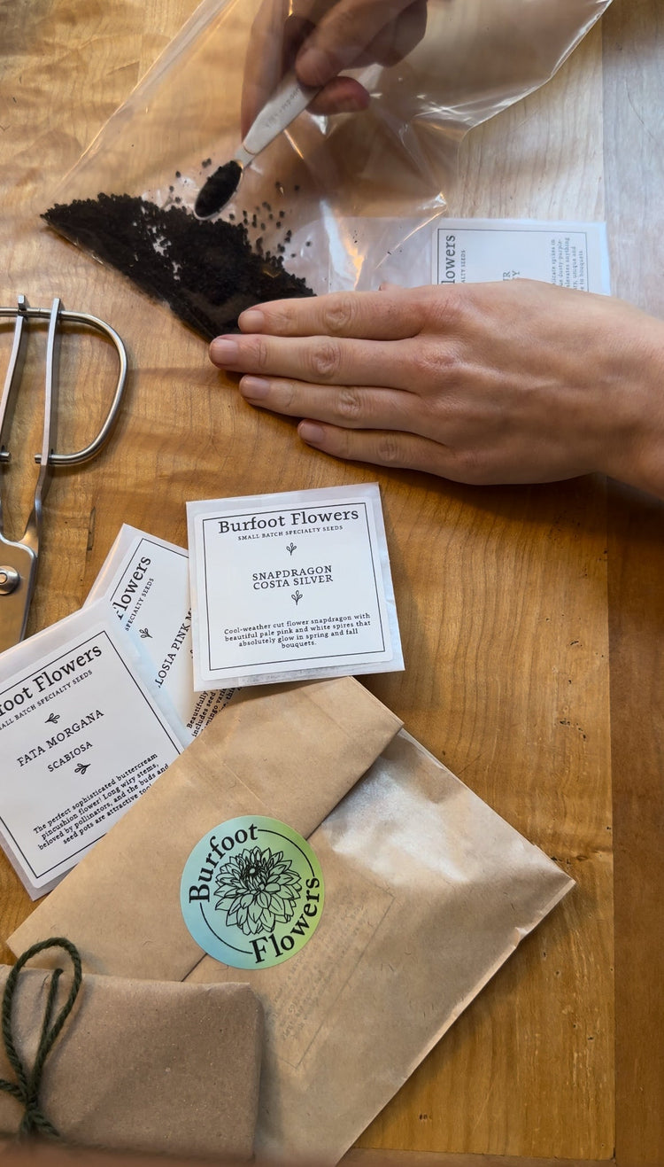 Seed Shop