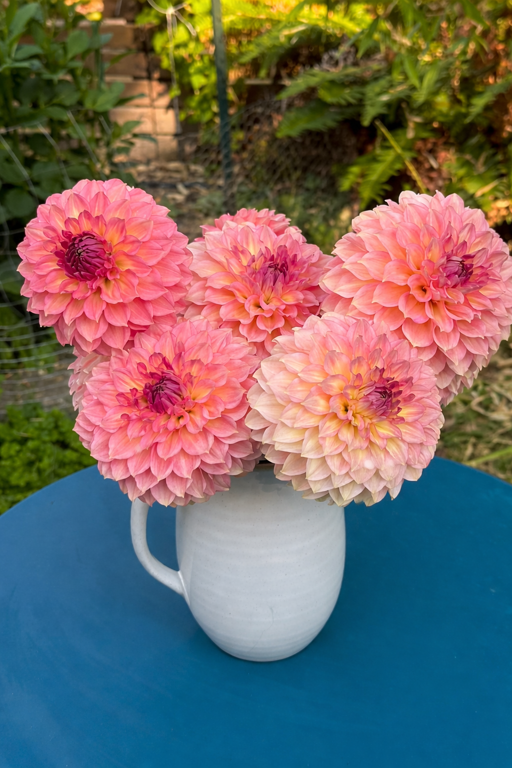 Burfoot Freestone - Limit 1